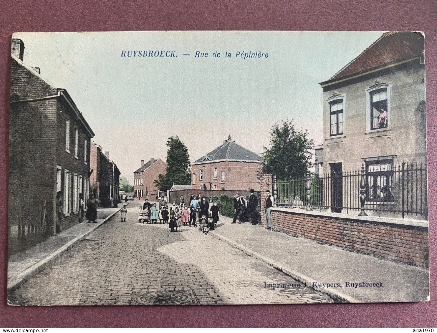RUYSBROECK - RUISBROEK Rue De La Pépinière Carte En Couleur - Sint-Pieters-Leeuw