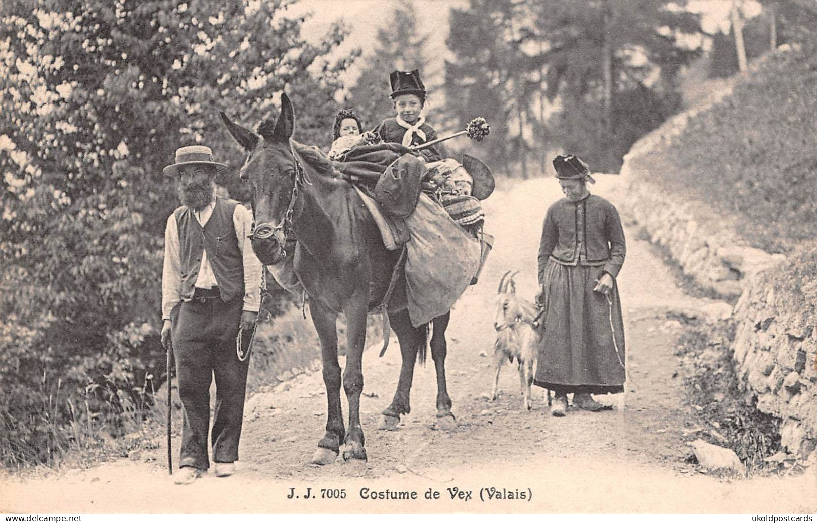 CPA  Suisse, Costume De VEX ( Valais ) - Vex