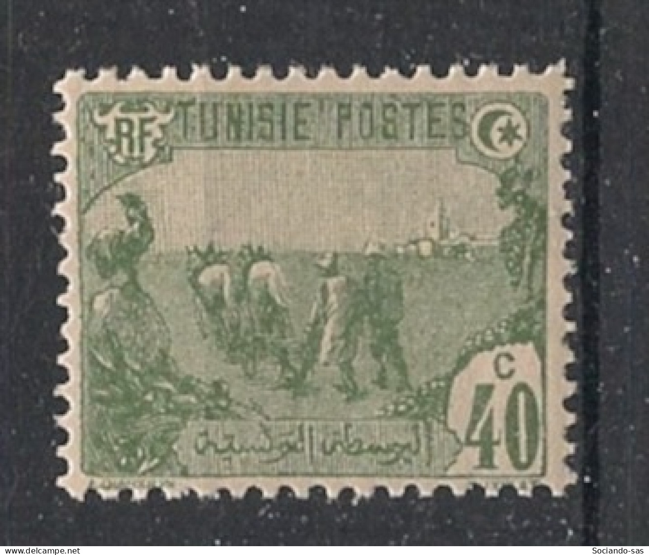 TUNISIE - 1923-26 - N°YT. 104 - Laboureurs 40c Vert - Neuf Luxe** / MNH / Postfrisch - Neufs