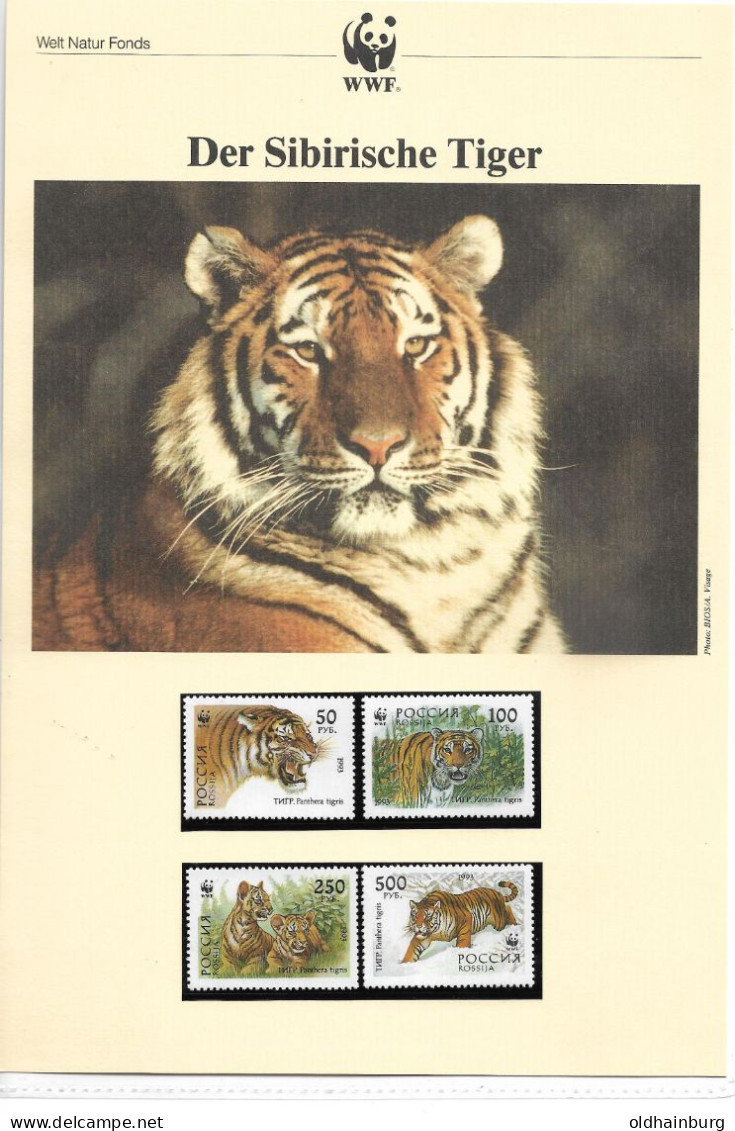 1126f: Russland 1993, WWF- Ausgabe Sibirischer Tiger, Serie **/ FDC/ Maximumkarten, Je Mit Schutzhülle - Lots & Serien