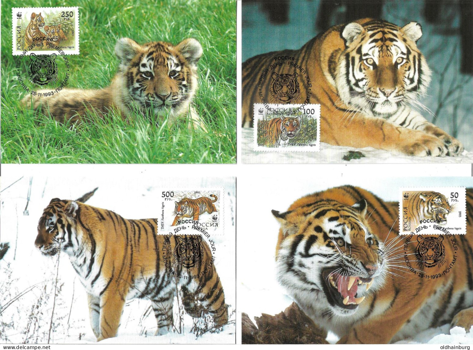 1126f: Russland 1993, WWF- Ausgabe Sibirischer Tiger, Serie **/ FDC/ Maximumkarten, Je Mit Schutzhülle - Colecciones & Series