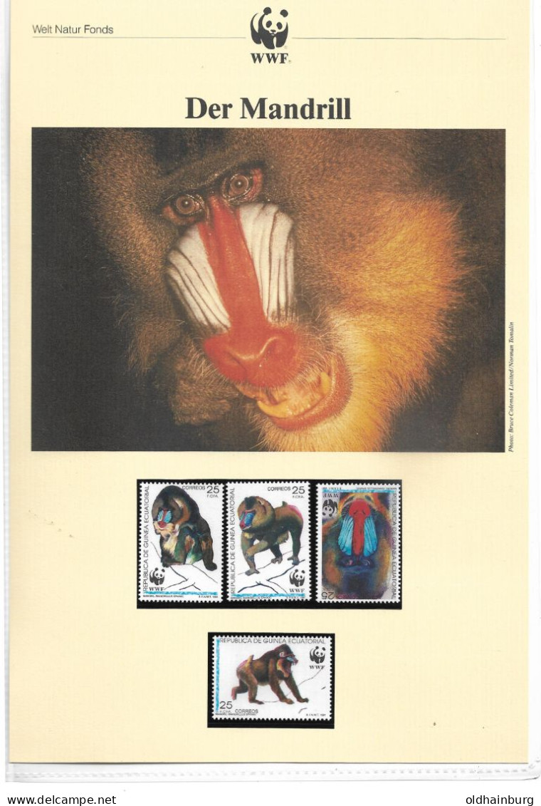 1126j: Äquatorial Guinea 1991, WWF- Ausgabe Mandrill (Affe), Serie **/ FDC/ Maximumkarten, Je Mit Schutzhülle - Lots & Serien