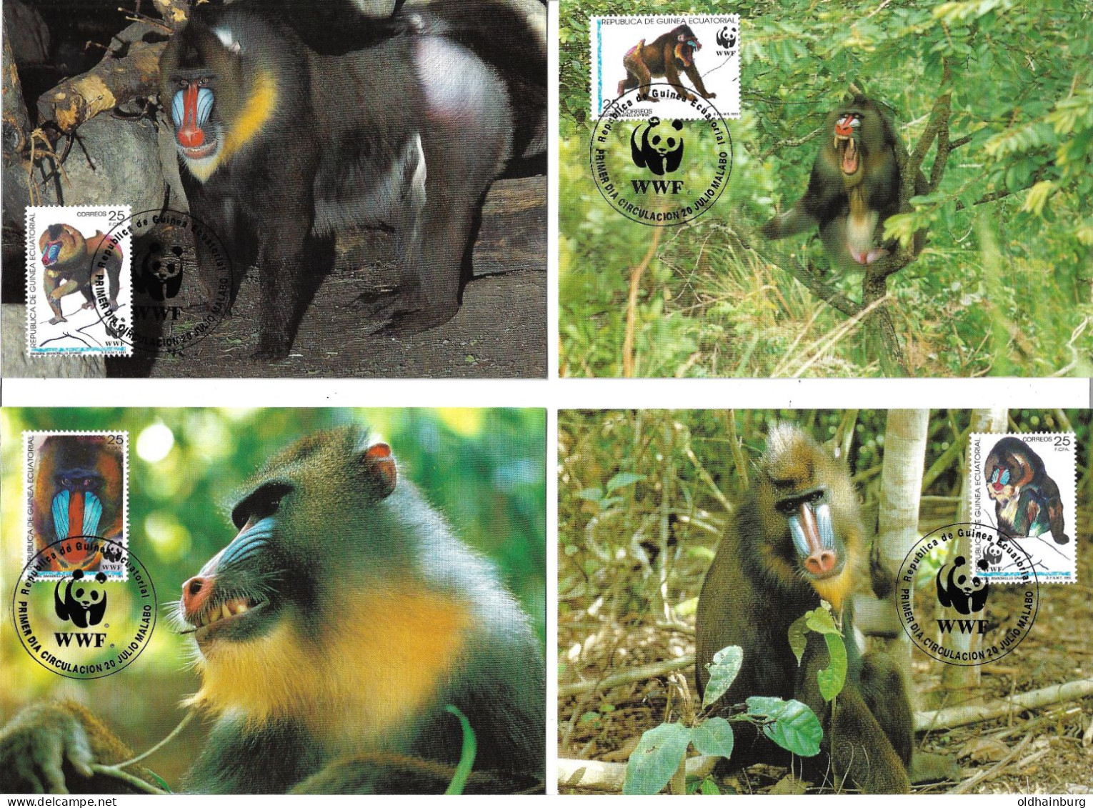 1126j: Äquatorial Guinea 1991, WWF- Ausgabe Mandrill (Affe), Serie **/ FDC/ Maximumkarten, Je Mit Schutzhülle - Verzamelingen & Reeksen