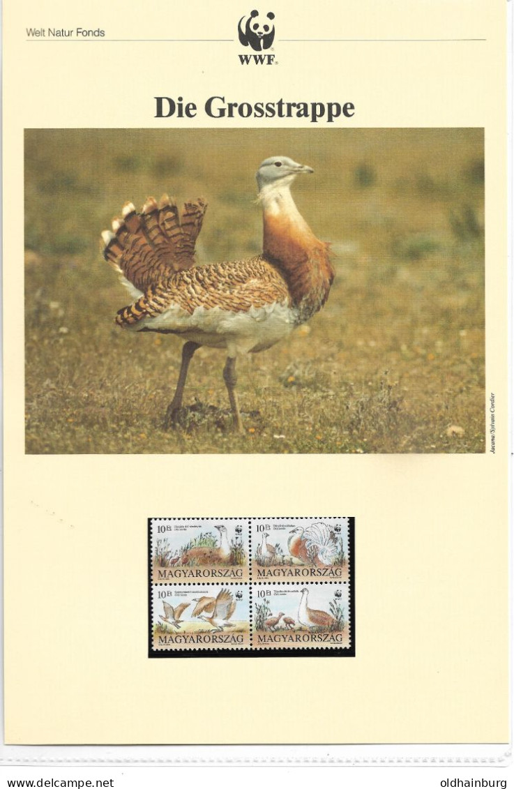 1139d: Ungarn 1994, WWF- Ausgabe Grosstrappe, Serie **/ FDC/ Maximumkarten, Jeweils In Schutzhüllen - Briefe U. Dokumente