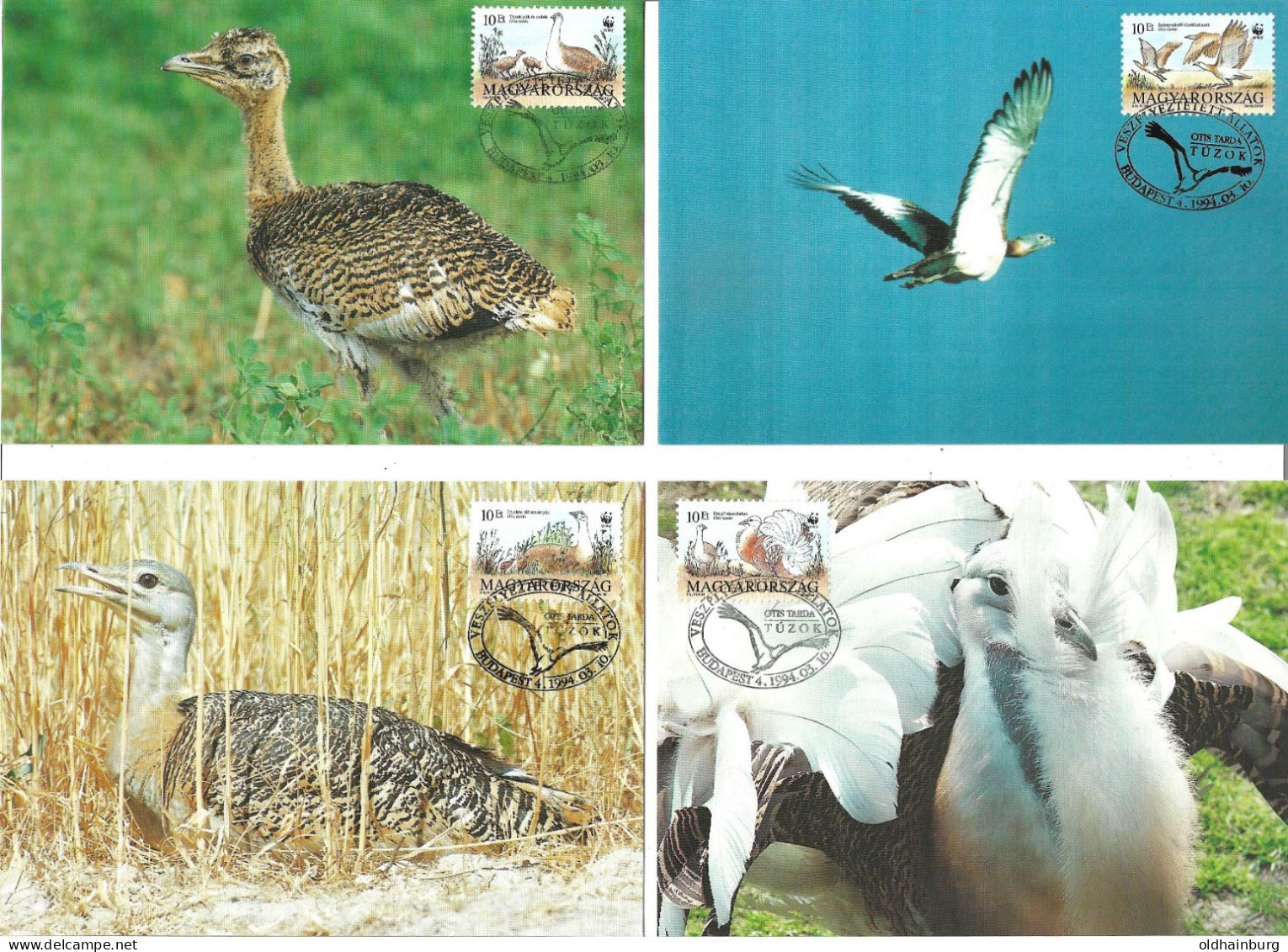 1139d: Ungarn 1994, WWF- Ausgabe Grosstrappe, Serie **/ FDC/ Maximumkarten, Jeweils In Schutzhüllen - Brieven En Documenten