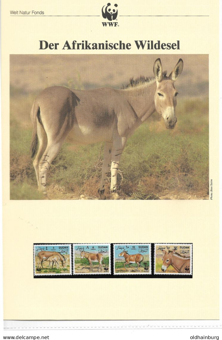 1139b: Sudan 1994, WWF- Ausgabe Afrikanischer Wildesel, Serie **/ FDC/ Maximumkarten, Jeweils In Schutzhüllen - Donkeys