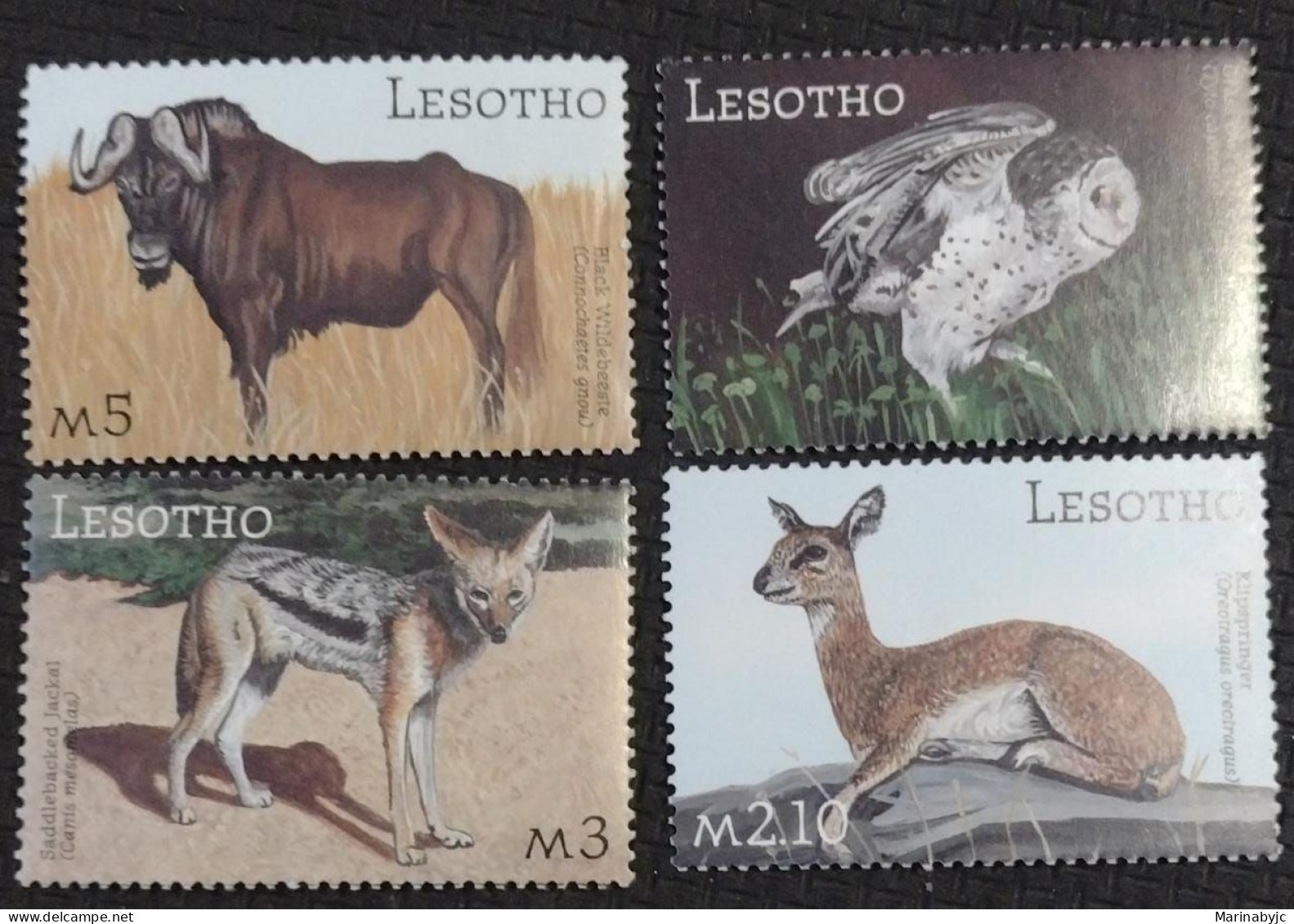 BD)LESOTHO, WILDLIFE, BLACK WILDEBEST, BARN OWL, JACKAL, ROCK JUMPER, MNH - Lesotho