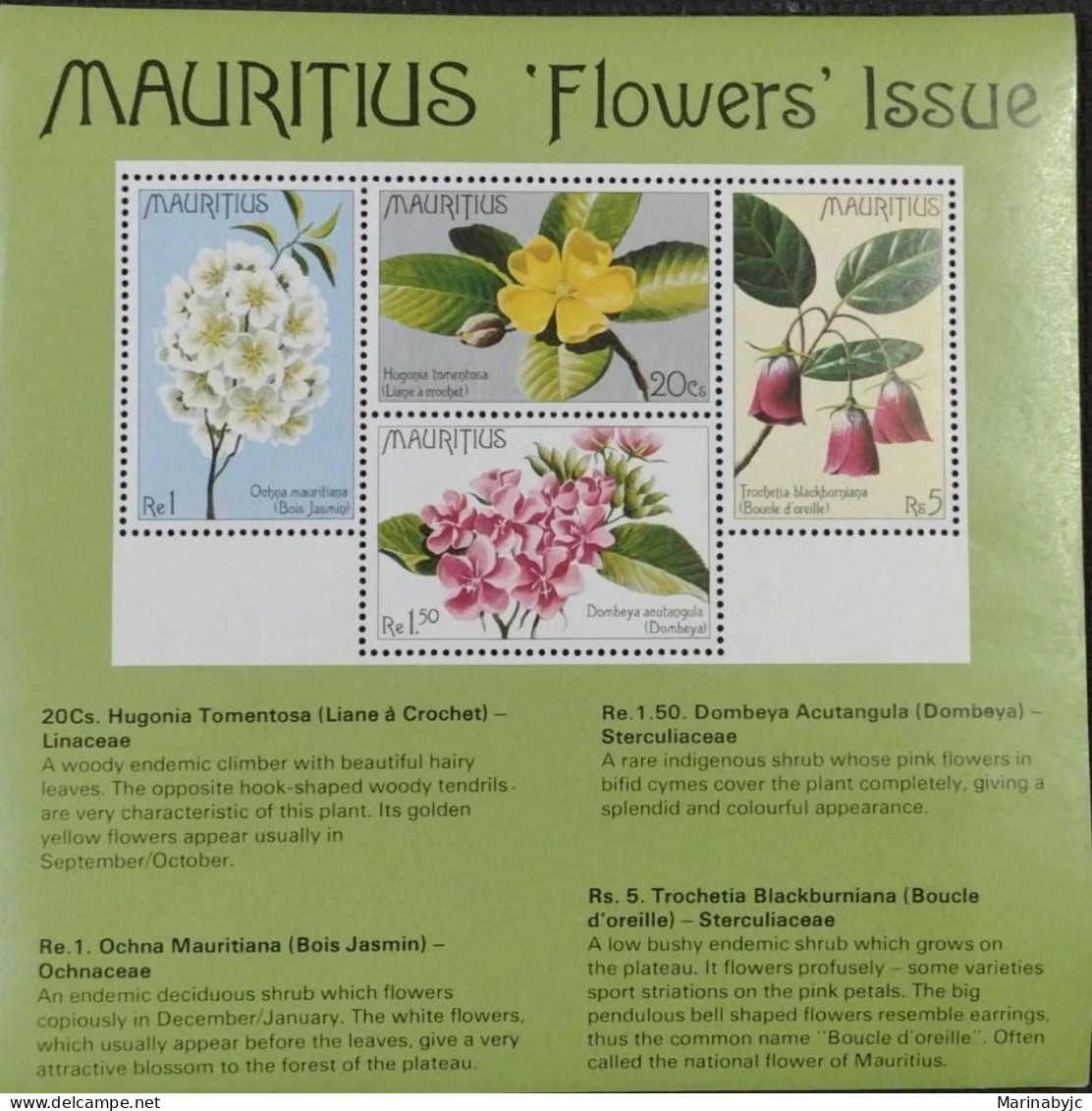 BD) MAURITIUS, FLOWERS, OCHNA MAURITANIA, WOODY CLIMBER, ENDEMIC SHRUBS, NATIVE SHRUBS, MNH - Maurice