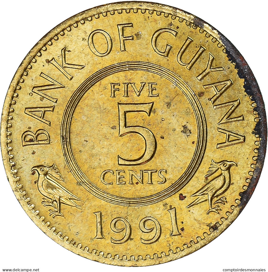 Monnaie, Guyana, 5 Cents, 1991 - Guyana