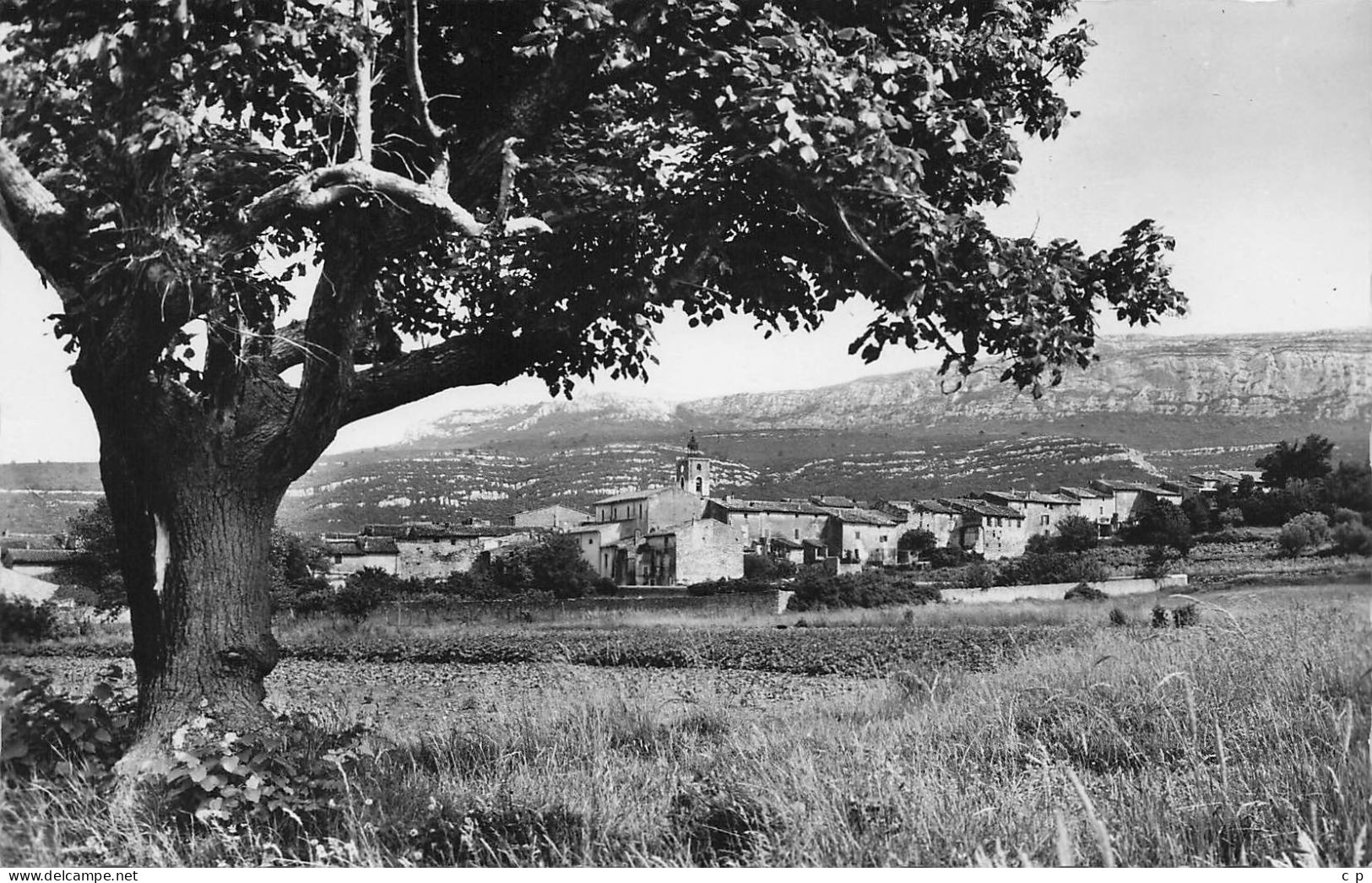 Nans Les Pins - Vue Generale  - CPSM °J - Nans-les-Pins