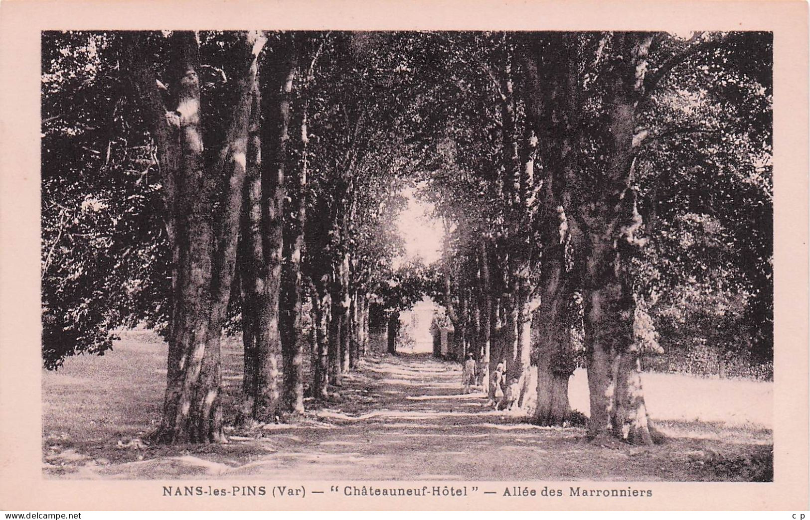 Nans Les Pins -  Hotel Chateauneuf - Allée Des Marronniers   - CPA °J - Nans-les-Pins