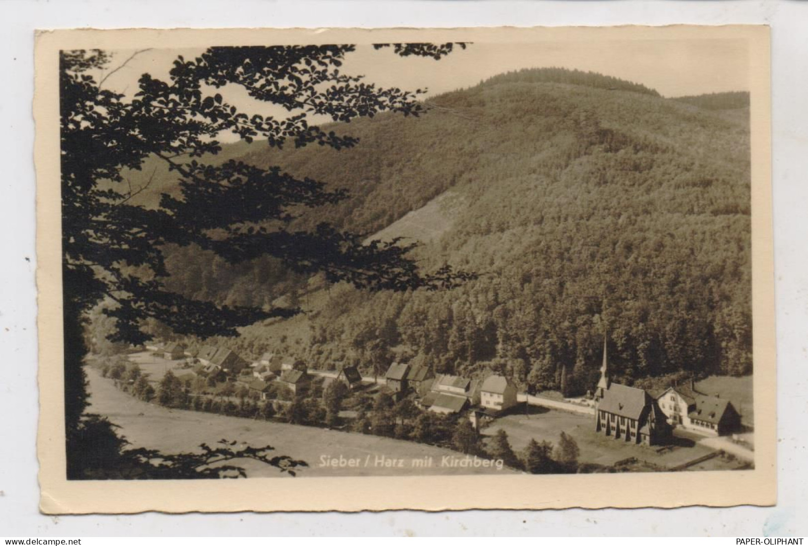 3420 HERZBERG - SIEBER, Blick Auf Das Dorf, 1950 - Herzberg