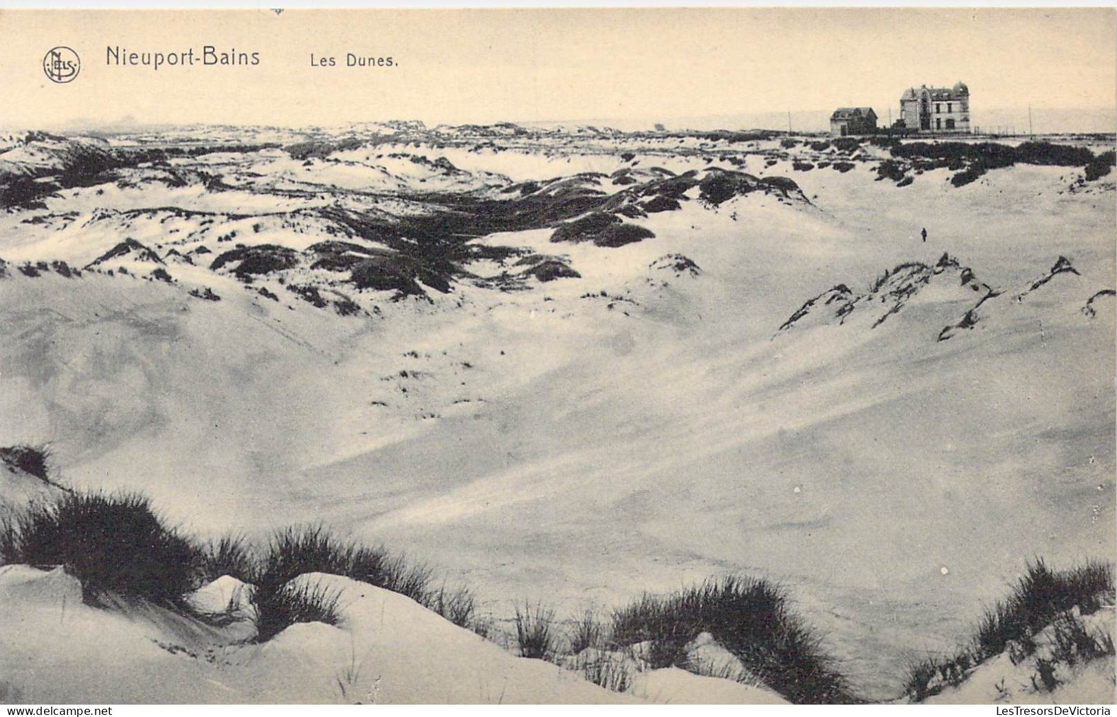 BELGIQUE - Nieuport-Bains - Les Dunes - Carte Postale Ancienne - Nieuwpoort