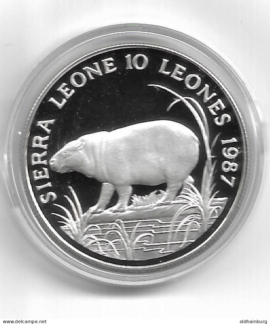 1149a: WWF- Münze Sierra Leone 1987, Zwergflusspferd PP 28,28 Gramm Proof - Sierra Leone