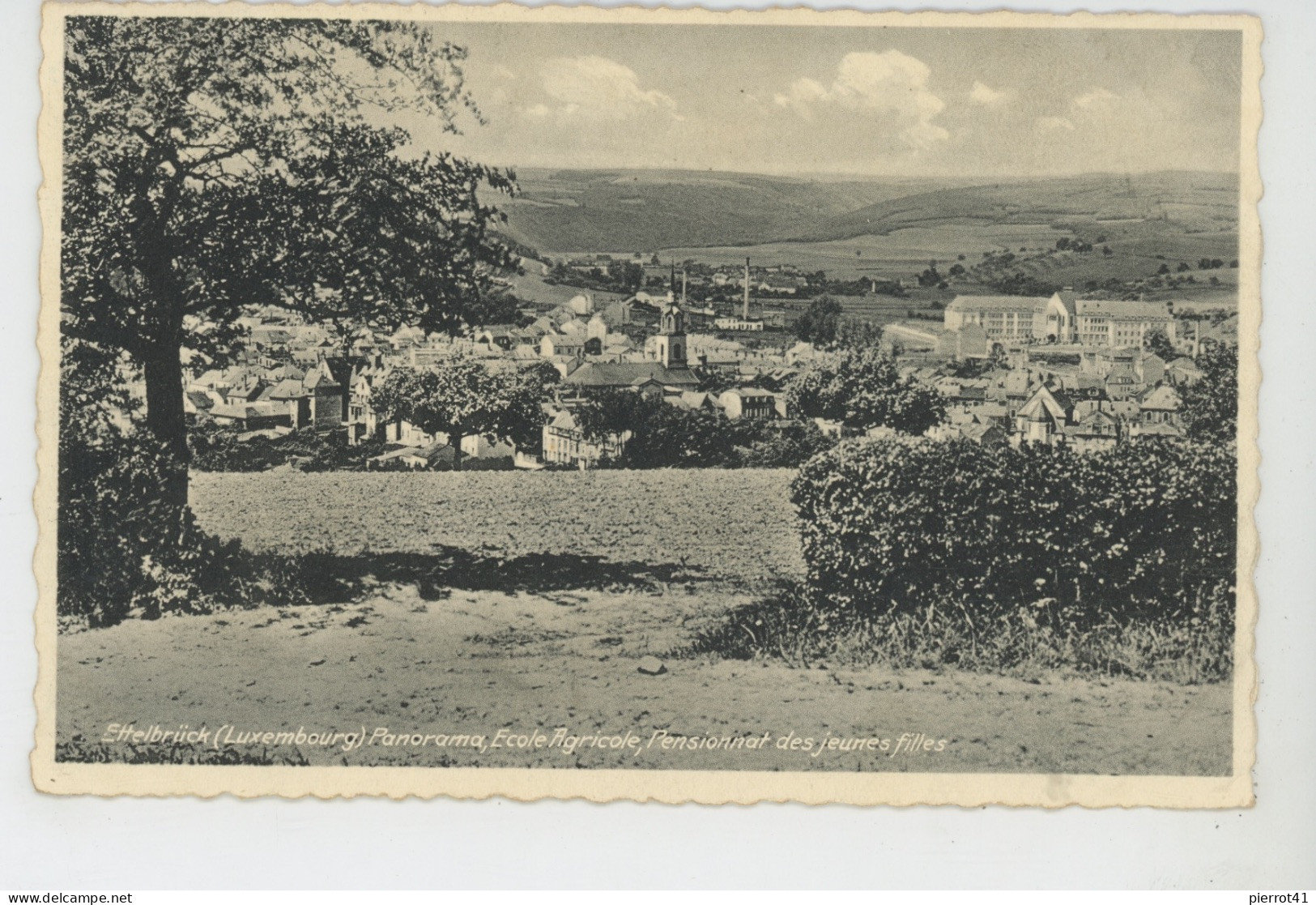 LUXEMBOURG - ETTELBRÜCK - Panorama, Ecole Agricole , Pensionnat Des Jeunes Filles - Ettelbruck