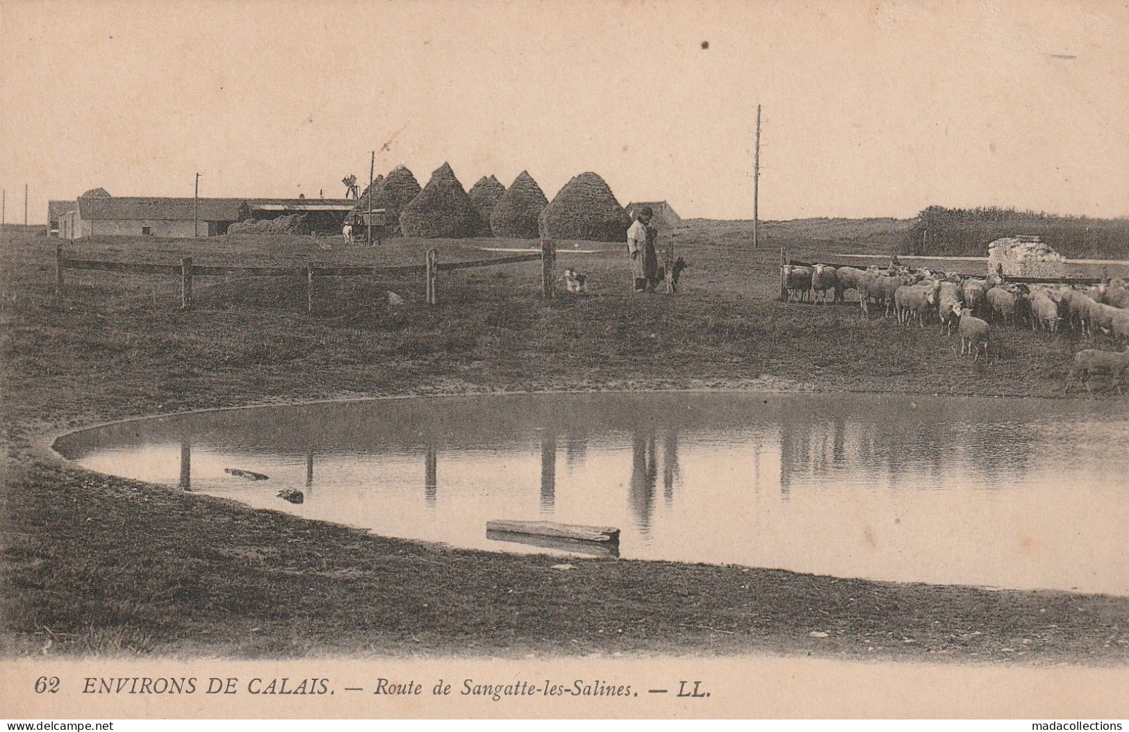 Sangatte (62 - Pas De Calais) Route De Sangatte Les Salines - Berger Et Moutons - Sangatte