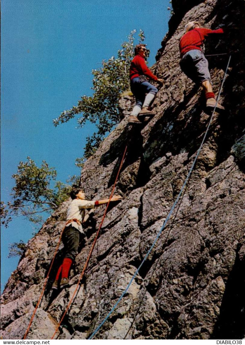 ECOLE D ' ESCALADE - Climbing