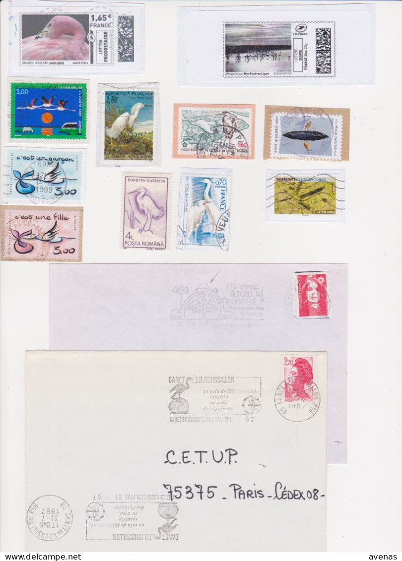 Lot 13 Documents Thème Oiseaux Birds Bird ECHASSIER Flamant Rose Aigrette Cigogne  - Flamme Timbre - Flamingo's