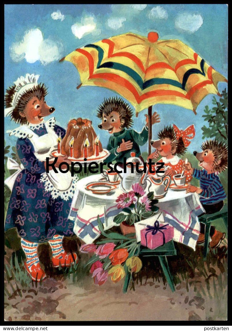 ÄLTERE POSTKARTE MECKI IM GARTEN KUCHEN FEIER GEBURTSTAG BIRTHDAY IGEL DDR PLANET VERLAG Hedgehog Ansichtskarte Postcard - Mecki