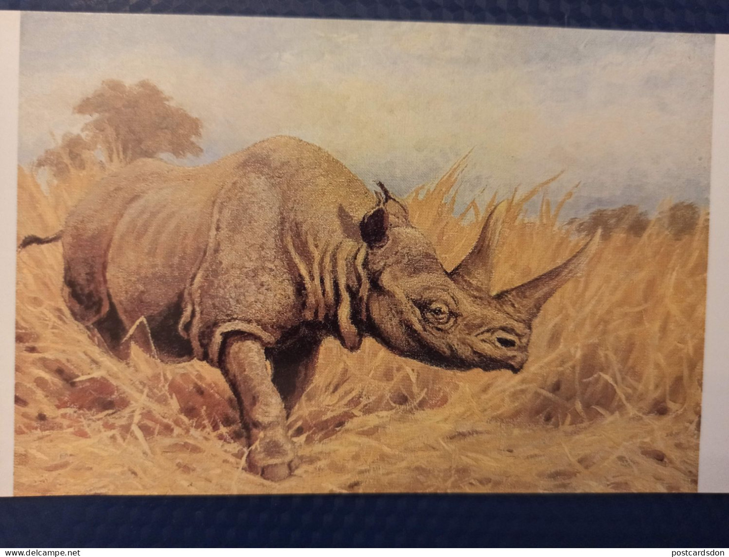 Animaux -Collection "Les Dinosaures" Dicerorhinus 1989 RHINO - Rinoceronte