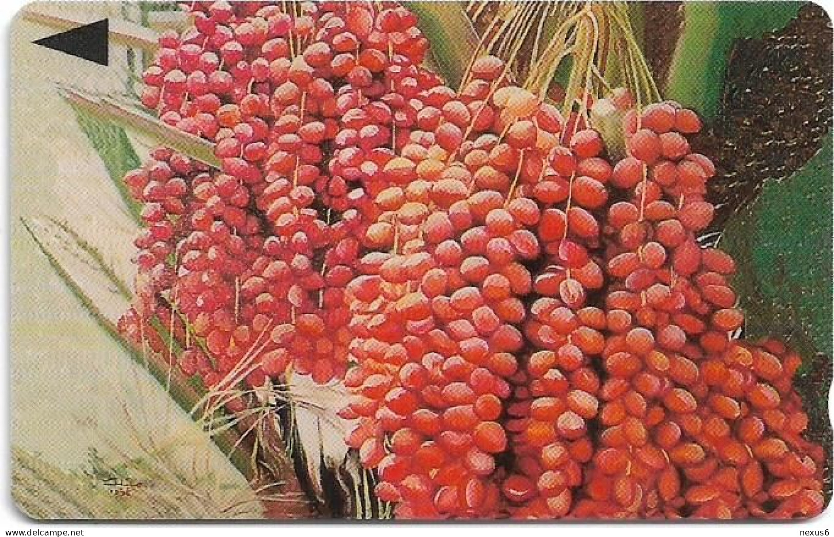 Bahrain - Batelco (GPT) - Al Basser Palm Tree - 41BAHT (Normal 0), 1997, Used - Bahrain