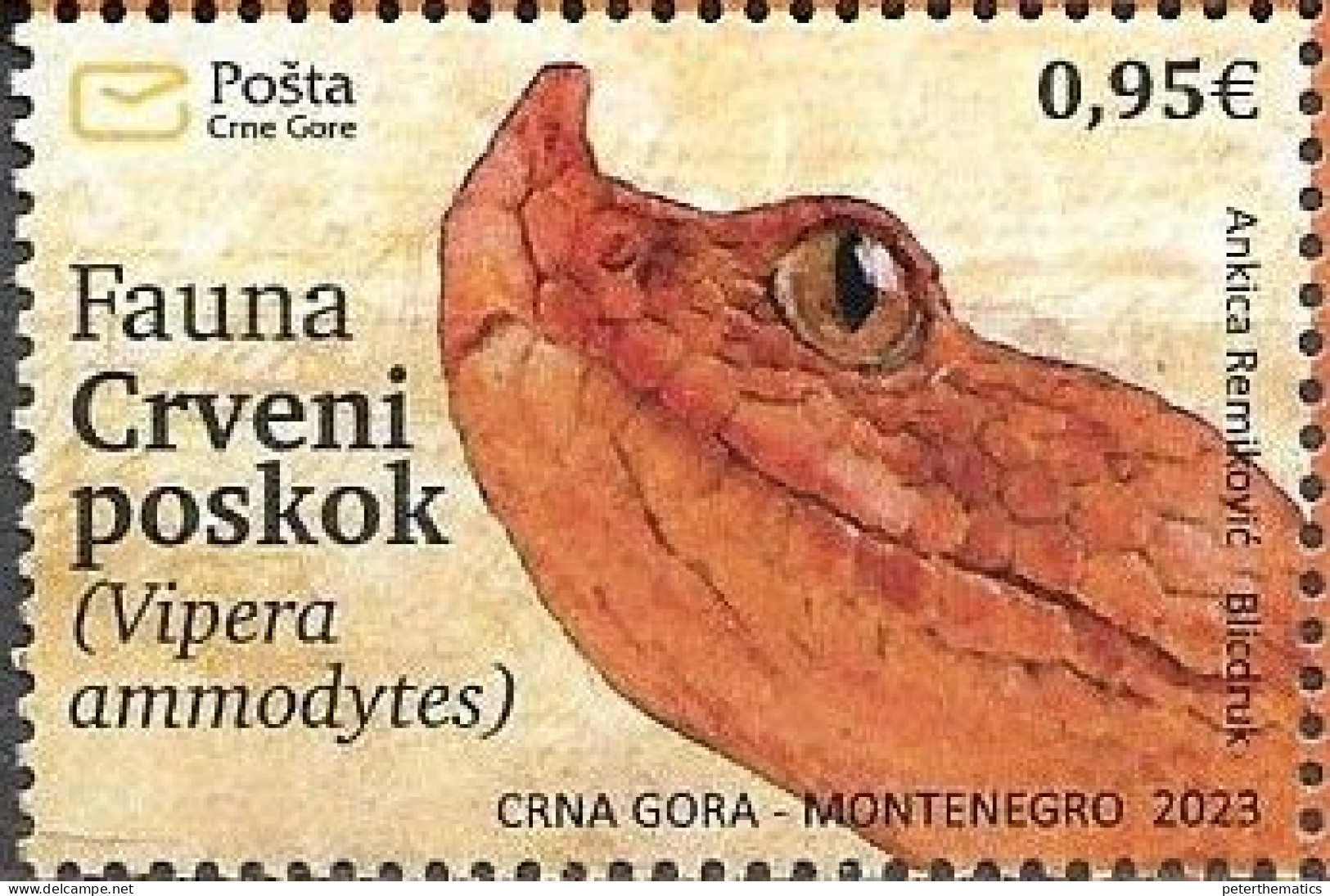 MONTENEGRO,2023, MNH, FAUNA, REPTILES, SNAKES, RED NOSE-HORNED VIPER, 1v - Serpents