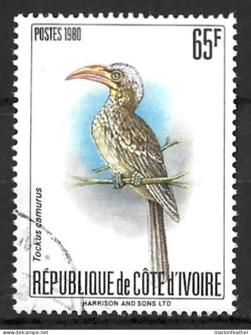 IVORY COAST...." 1980..."....TOCKUS CAMURUS....BIRD...65F......SG665b......CDS...VFU.. - Cuckoos & Turacos