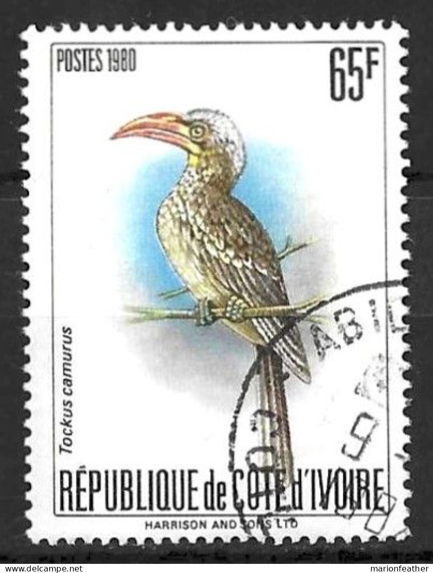 IVORY COAST...." 1980..."....TOCKUS CAMURUS....BIRD...65F......SG665b......CDS...VFU.. - Cuckoos & Turacos