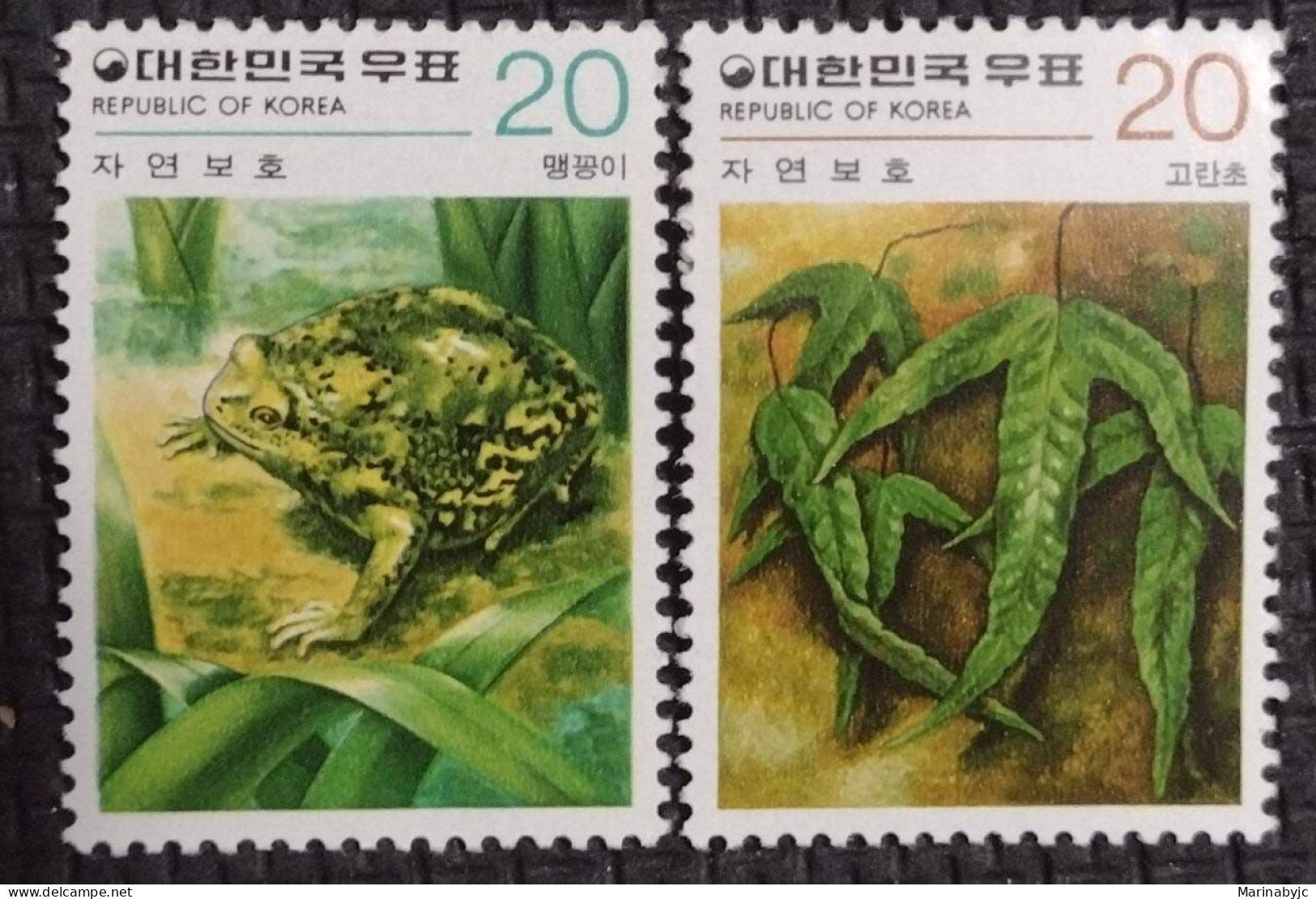 BD)KOREA, CONSERVATION, KALOULA BOREALIS AMPHIBIAN, GORANCH FERN PLANT, MNH - Corée Du Nord