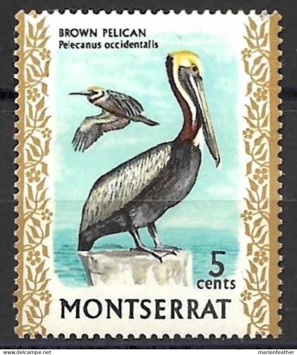 MONTSERRAT...QUEEN ELIZABETH II...(1952-22.)...." 1970.."...BROWN PELICAN.....BIRD....5c...SG246......MH. - Pelikane