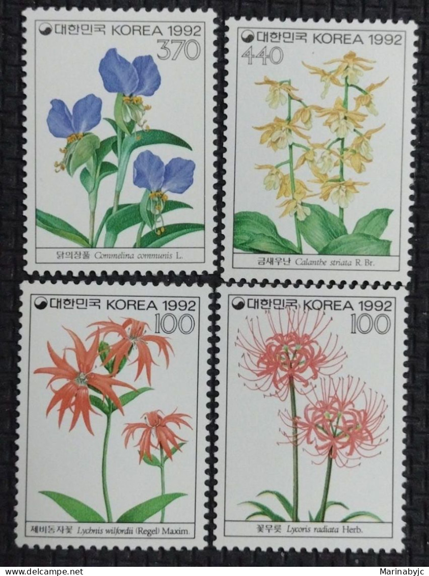 BD)1992. KOREA, PLANTS, CAMELLIA, YELLOW SHRIMP ORCHID, LYCHNIS WILFORDII, LYCORIS RADIATA, MNH - Korea (Nord)