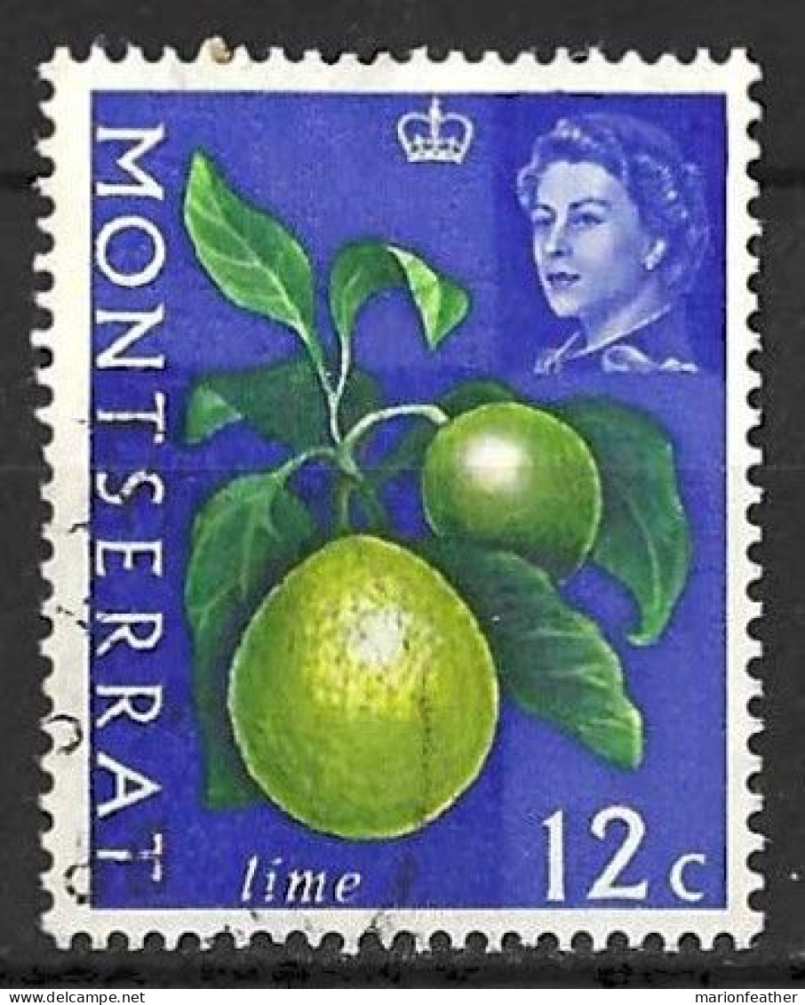 MONTSERRAT...QUEEN ELIZABETH II..(1952-22..)...." 1965.."..LIME.....12c........SG168......VFU..... - Alimentation