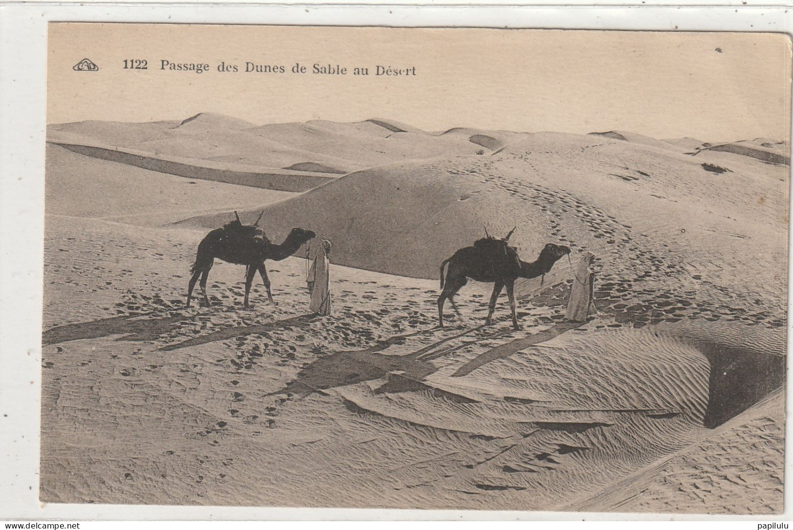 AFRIQUE 193 : Passage D'une Dune De Sable Dans Le Désert  " Scènes & Types " édit. Cap N° 1122 - Non Classés