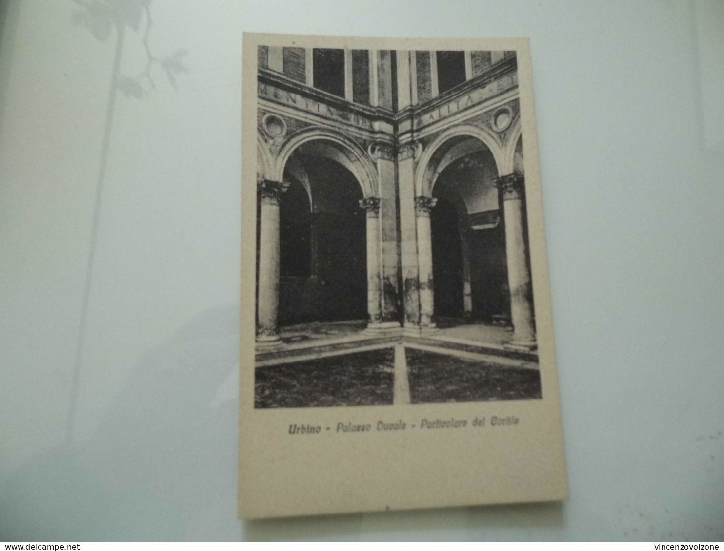 Cartolina "URBINO Palazzo Ducale - Particolare Del Cortile"  Ediz. Sorelle Calzini Cart. Urbino - Urbino