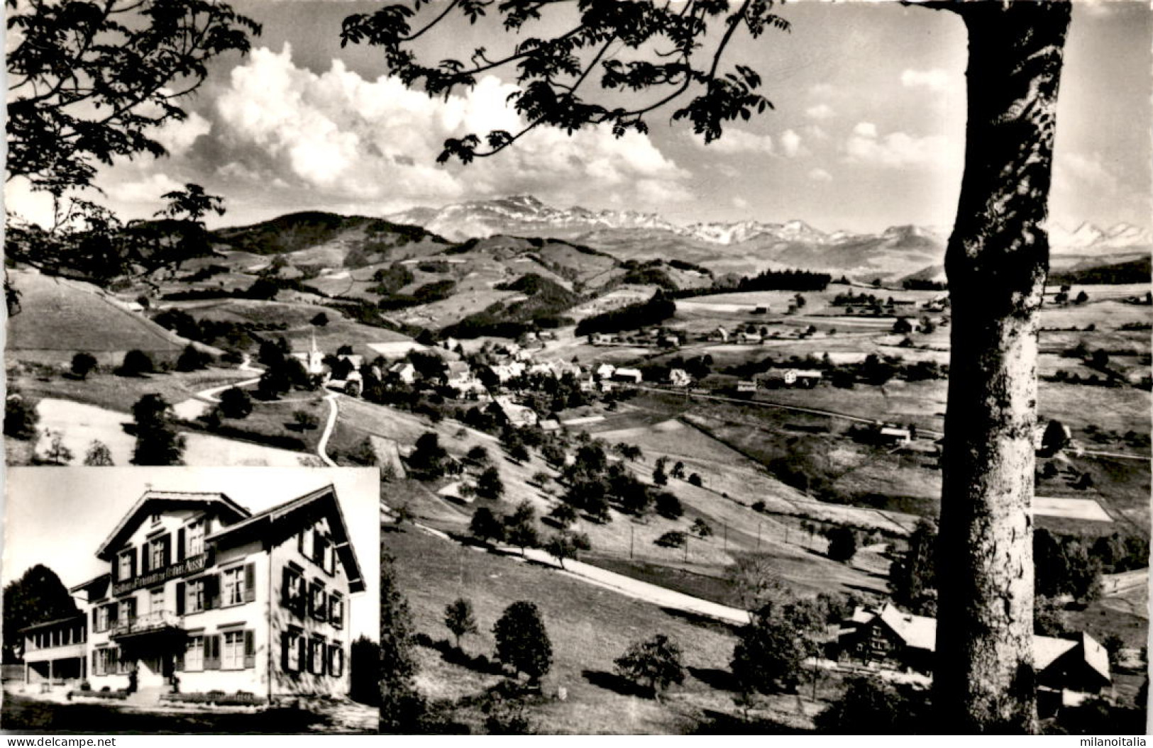 Oberhelfenschwil (Togg.) - Gasthaus Ferienheim Z. Frohen Aussicht - 2 Bilder (13008) * 11. 8. 1962 - Oberhelfenschwil