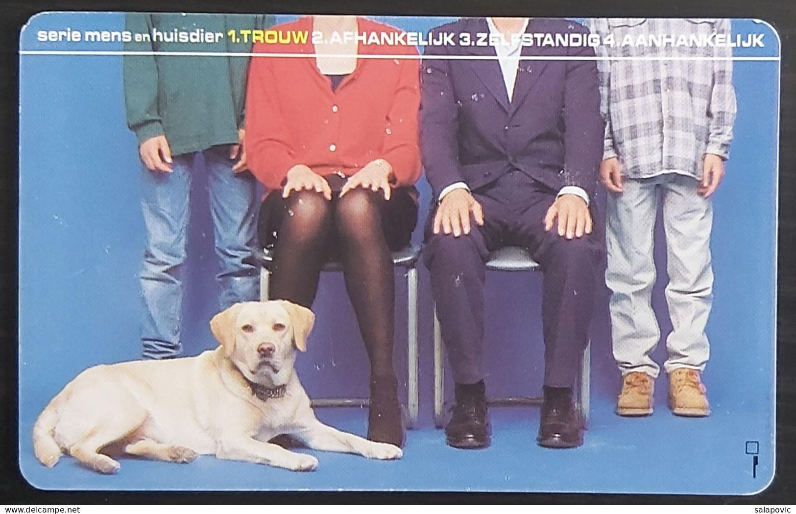 NETHERLANDS  Telecom - Animal, Dog TK 1/126 - Autres & Non Classés