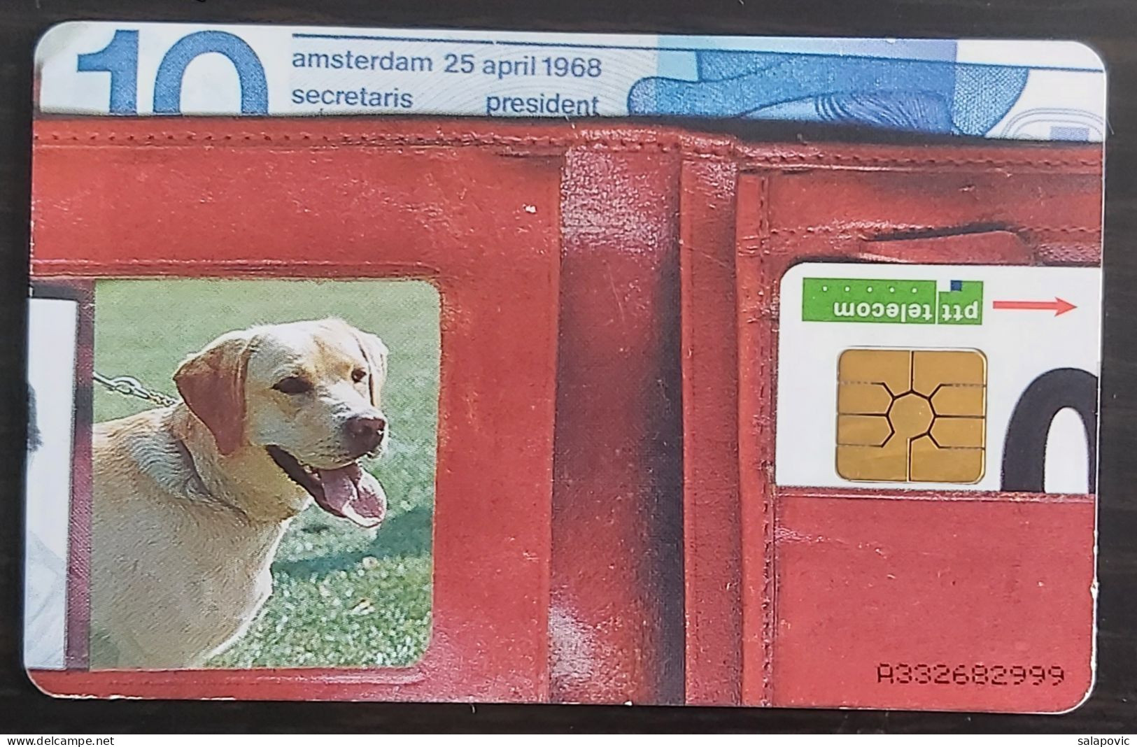 NETHERLANDS  Telecom - Animal, Dog TK 1/126 - Autres & Non Classés
