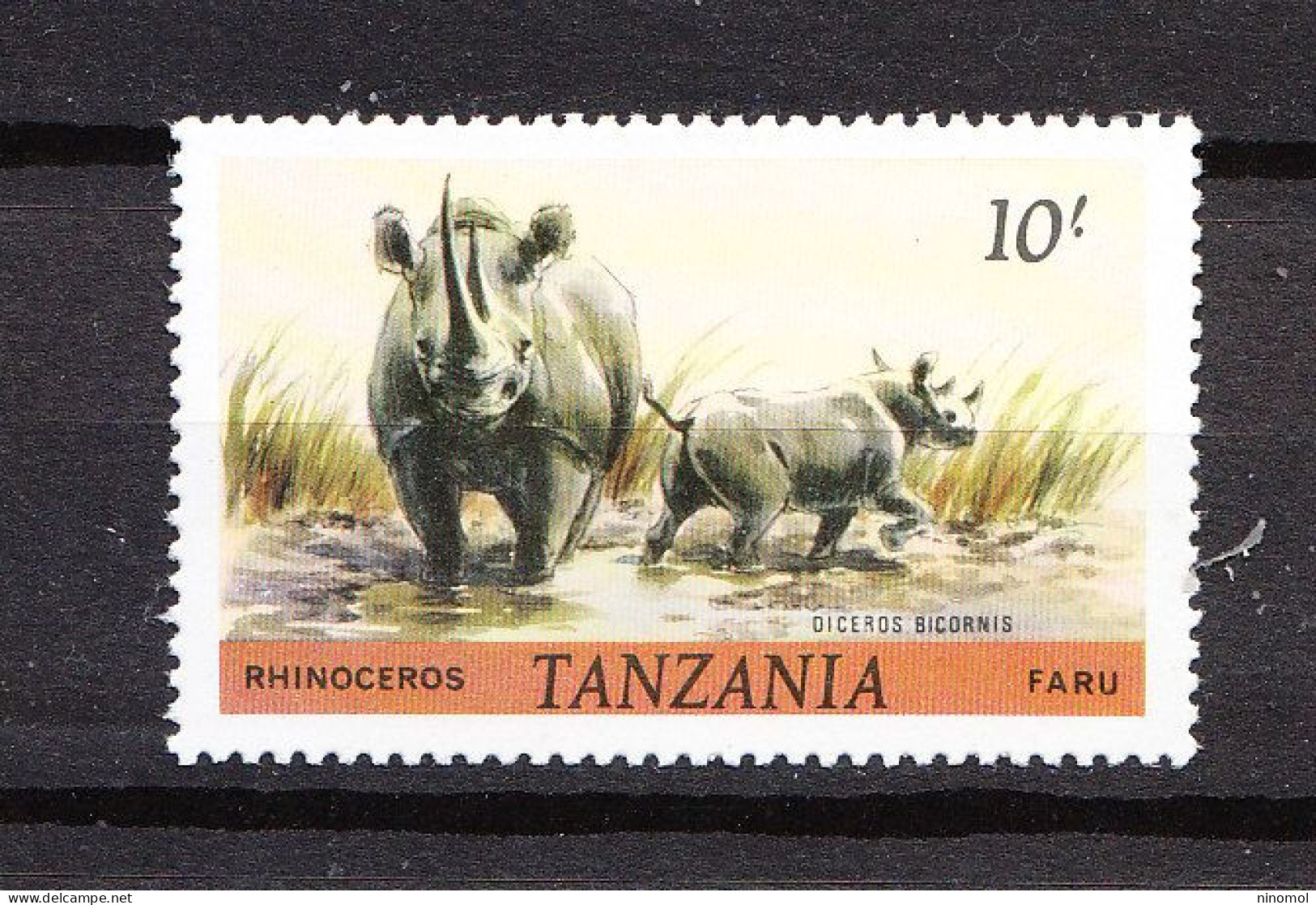 Tanzania    -  1980. Rinoceronti. Rhinos. MNH.  ( Dent. 14½  X 14½ ) - Rhinocéros