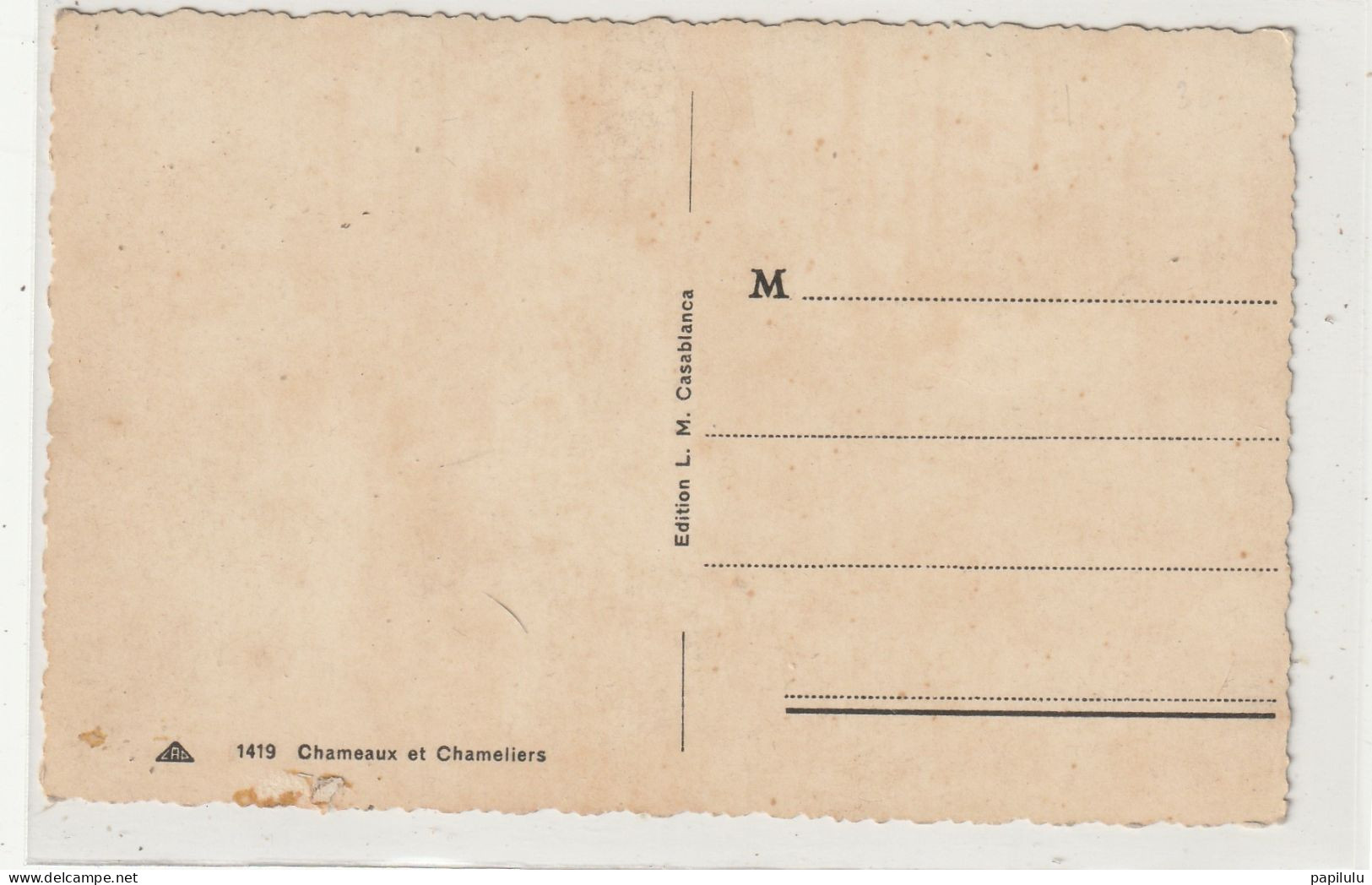 AFRIQUE 199 ; Chameaux Et Chameliers" Scènes & Types " édit. Cap N° 1419 - Non Classés