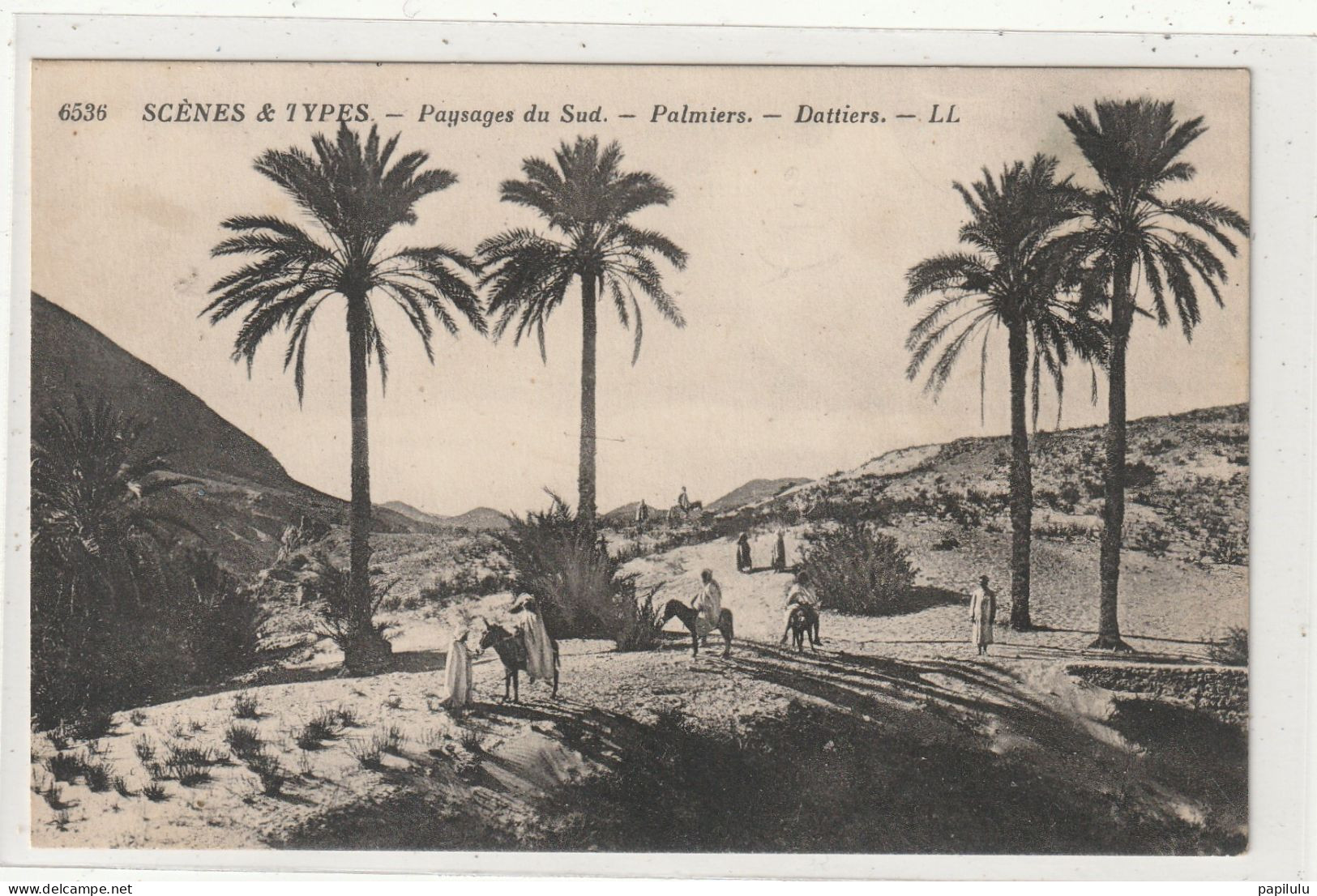 AFRIQUE 204 : Paysage Du Sud , Palmiers - Dattiers " Scènes & Types " édit. L L N° 6536 - Non Classés