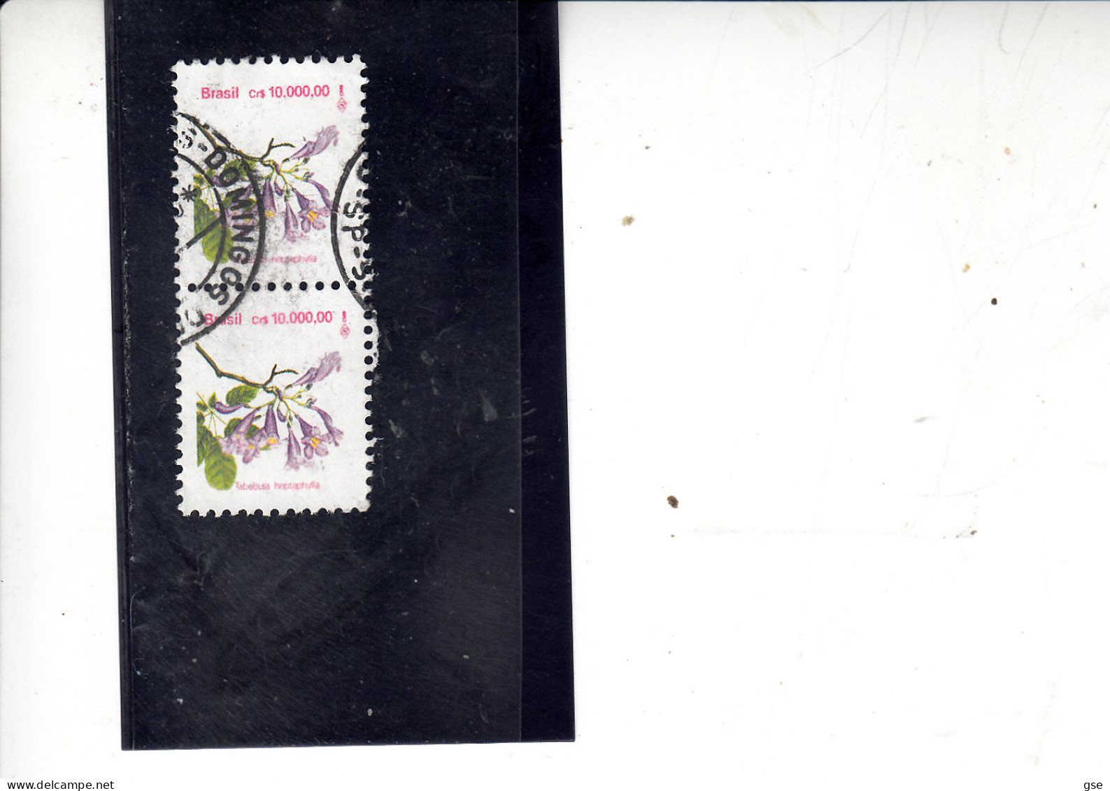 BRASILE  1992 - Yvert  2096°  (x 2) - Fiori - Used Stamps