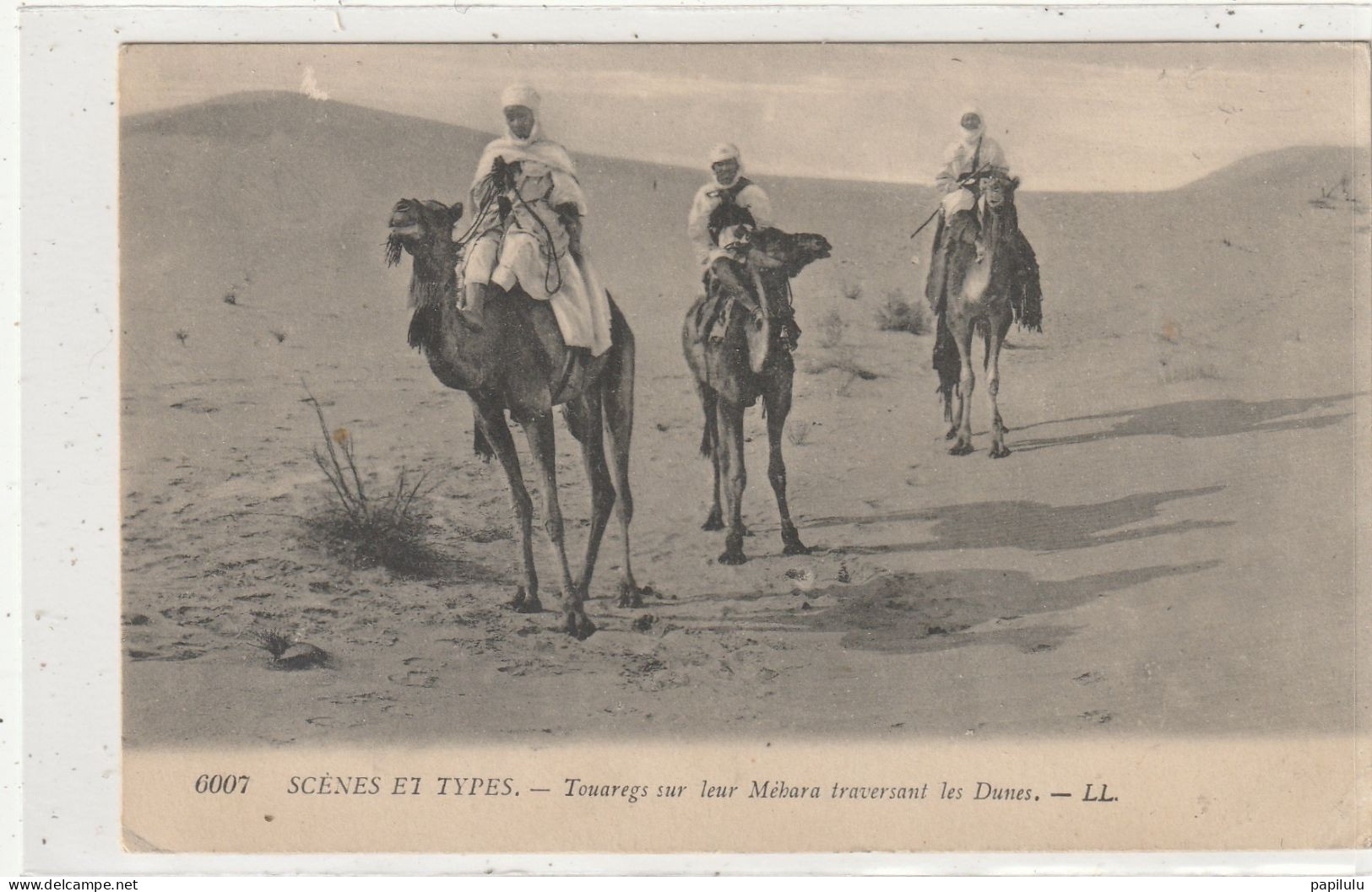 AFRIQUE 206 : Touaregs Sur Leur Méhara Traversant Les Dunes" Scènes & Types " édit. L L N° 6007 - Non Classés