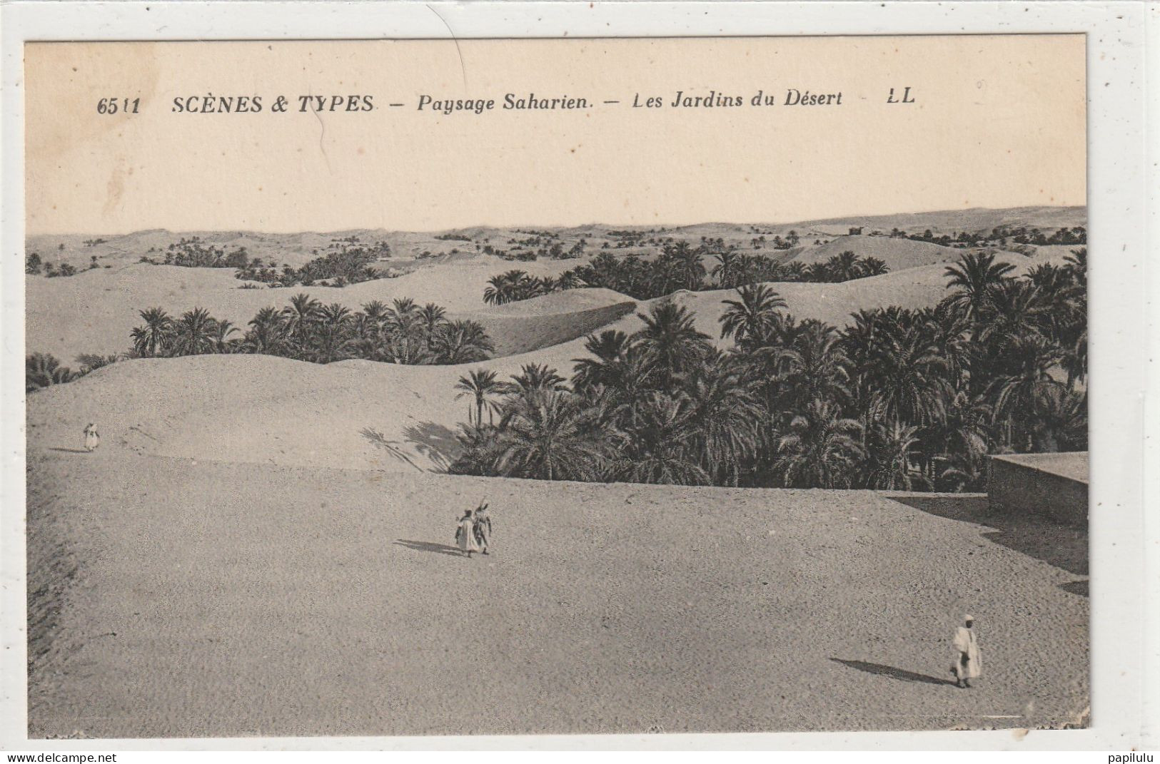 AFRIQUE 209 : Paysage Saharien , Les Jardins Du Désert " Scènes & Types " édit. L L N° 6511 - Non Classés