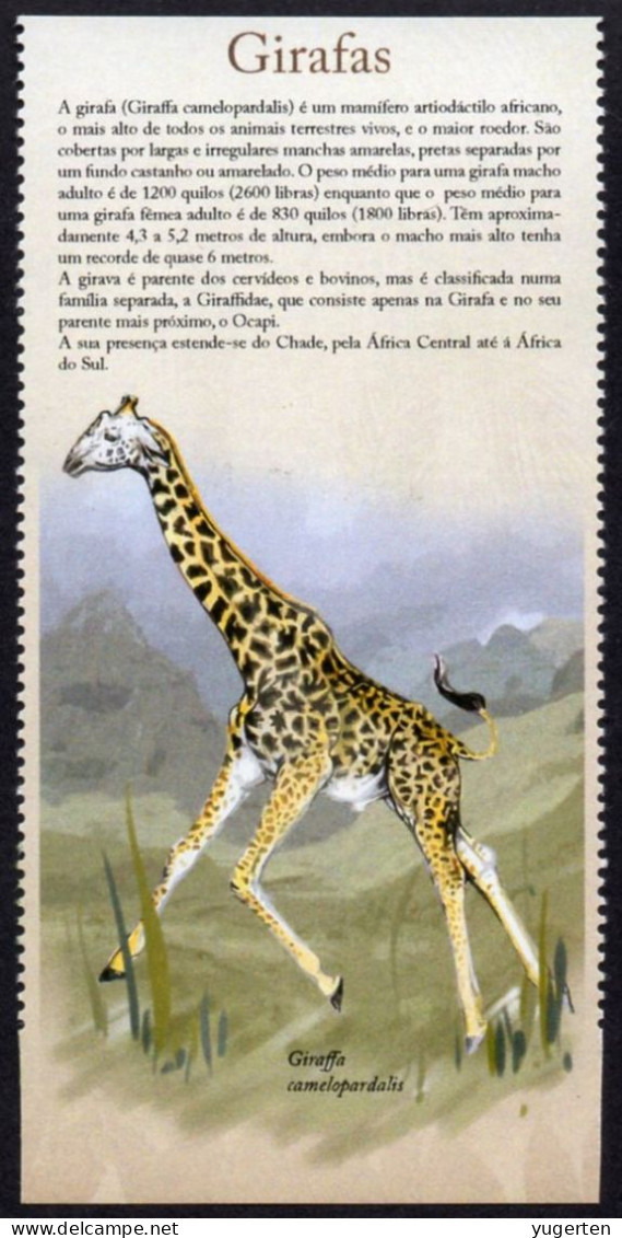 Gummed Cinderella Label Giraffes Girafes Giraffen Girafe Giraffe Jirafa Jirafas - Mammals Fauna  Cinderellas - Giraffes