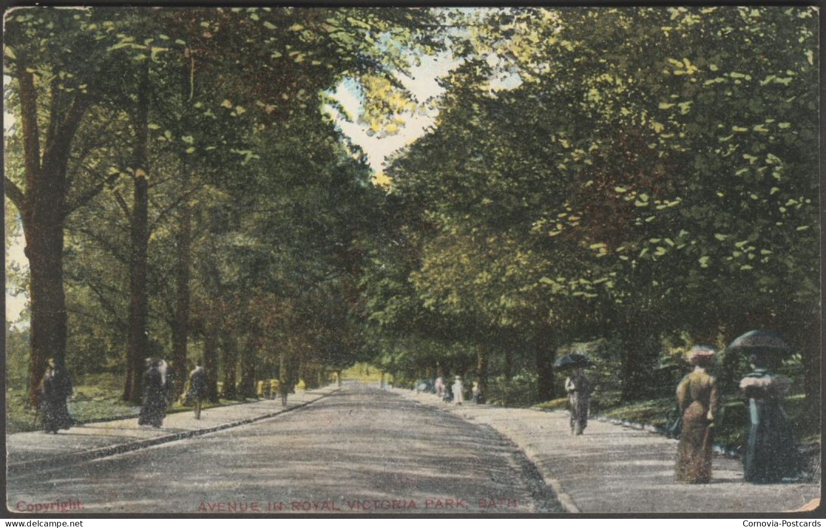 Avenue In Royal Victoria Park, Bath, Somerset, C.1905 - GD&DL Postcard - Bath