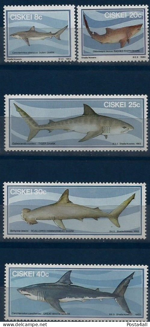 Ciskei   - 1983 Sharks  - 	Fauna/Marine Life/Sharks/Fish -  Complete Set -  MNH - Ciskei