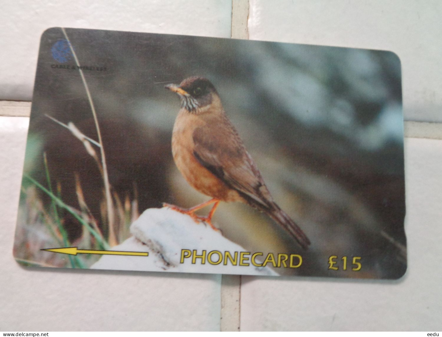 Falkland Islands Phonecard - Falkland