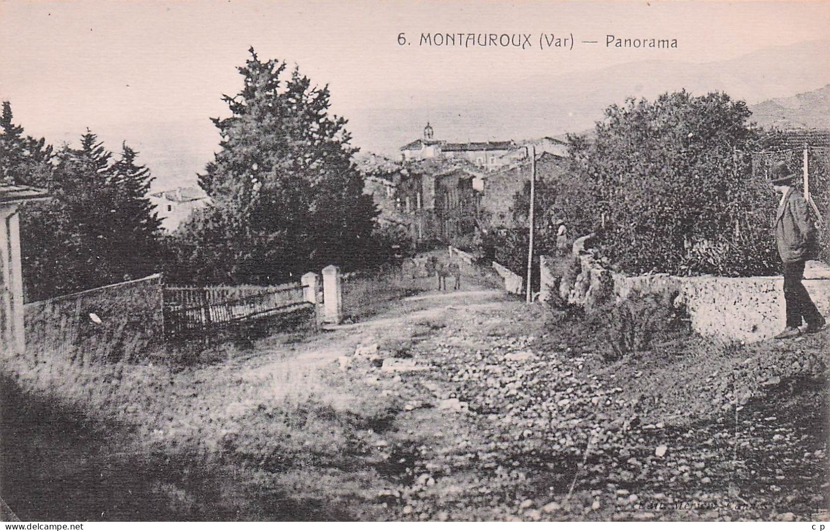 Montauroux - Panorama    - CPA °J - Montauroux