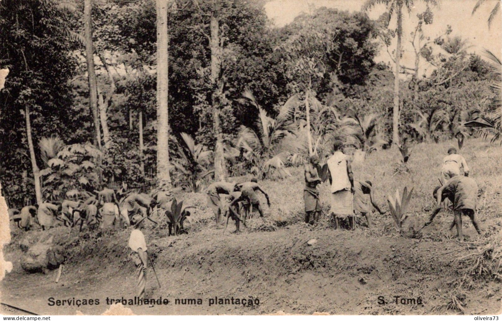 S.  SÃO TOMÉ - Serviçais Trabalhando Numa Plantação - Sao Tome Et Principe