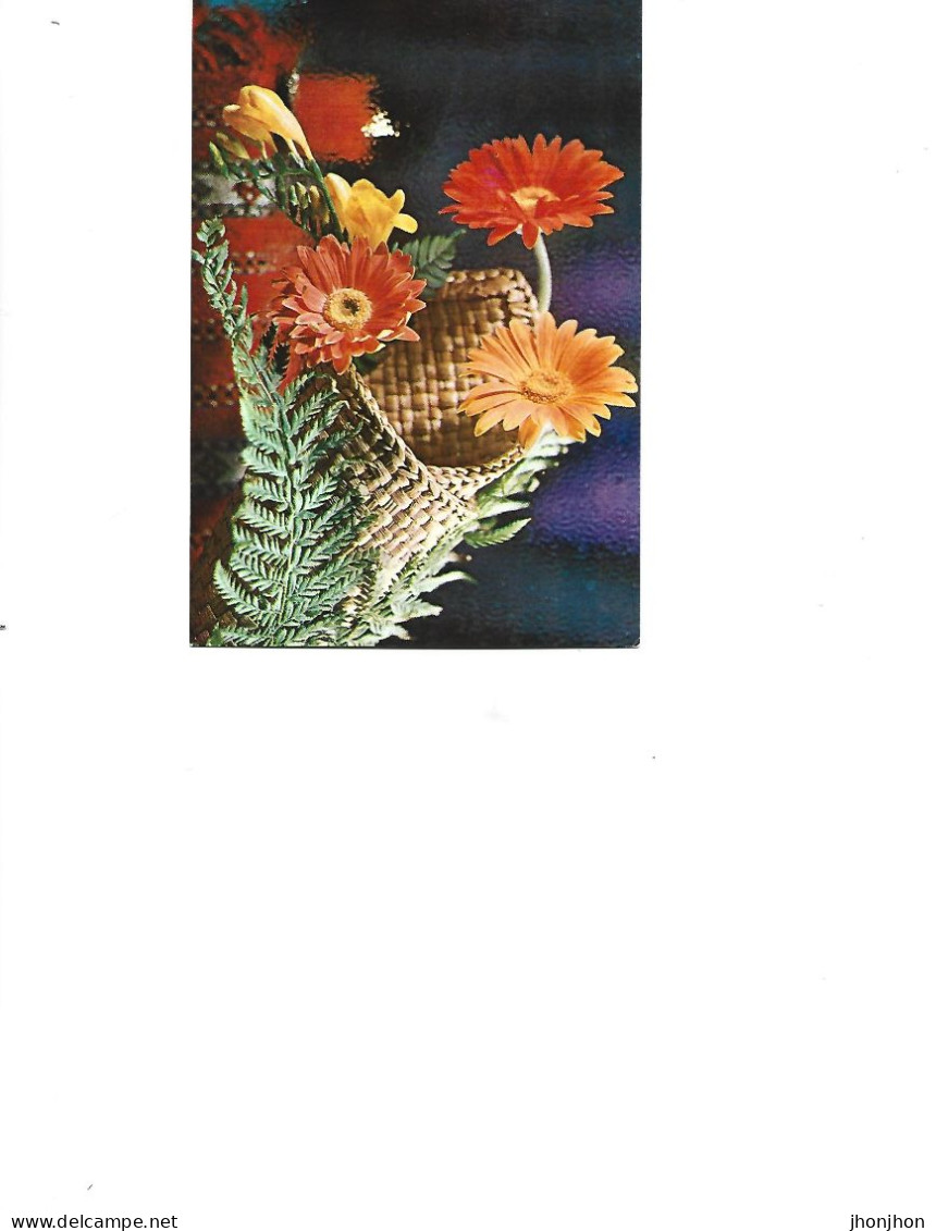 Romania  -  Postcard Unused   -  Flowers -   Chrysanthemums - Geneeskrachtige Planten